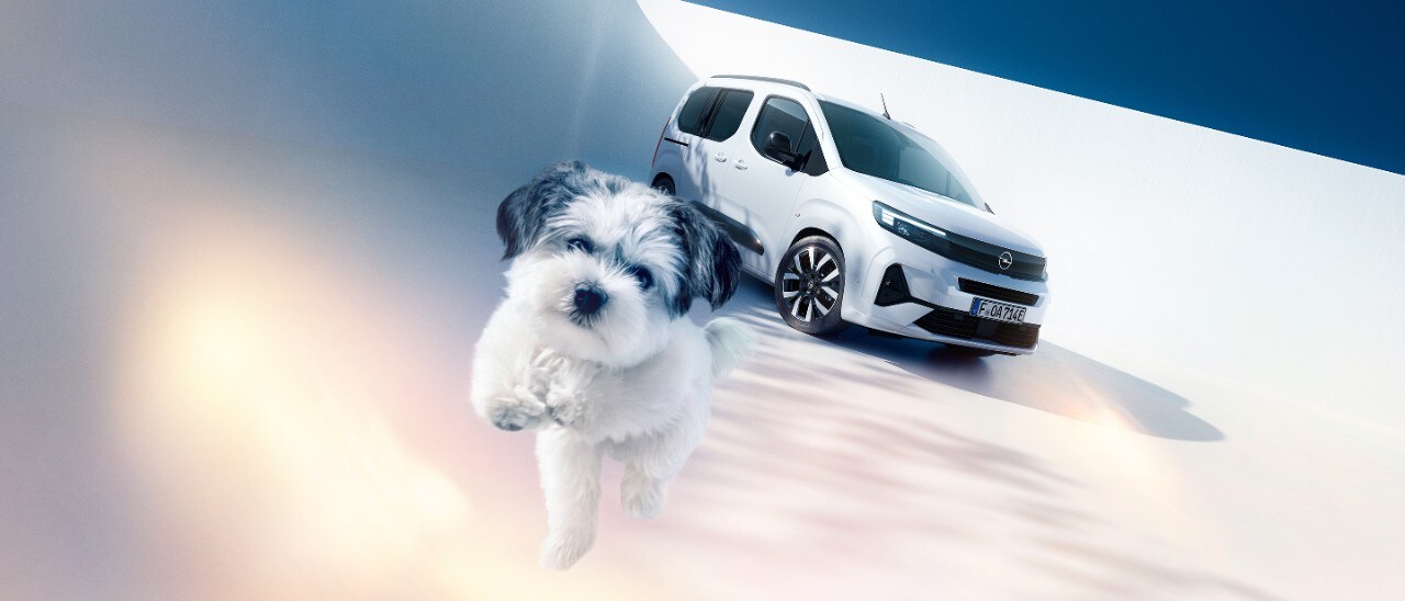 Vorderansicht eines weißen Opel Combo Electric mit einem Hund